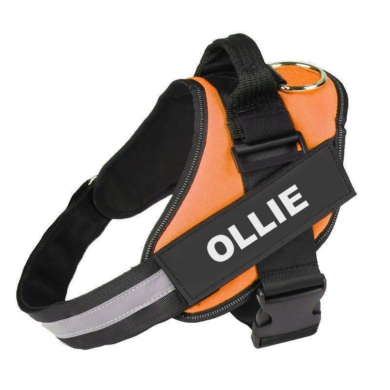 NEXTY NEST™ - CUSTOM FIT NO-PULL DOG HARNESS