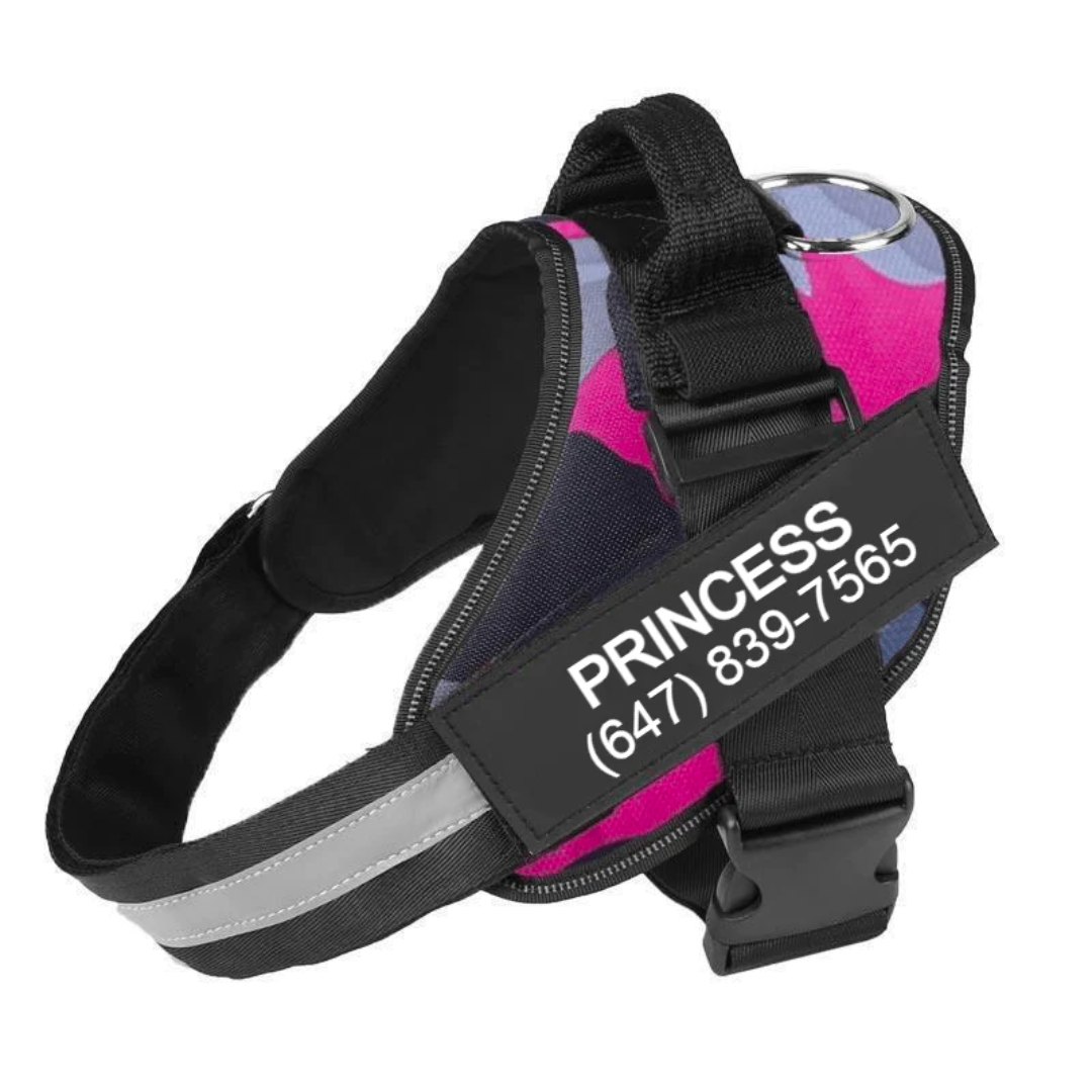 NEXTY NEST™ - CUSTOM FIT NO-PULL DOG HARNESS