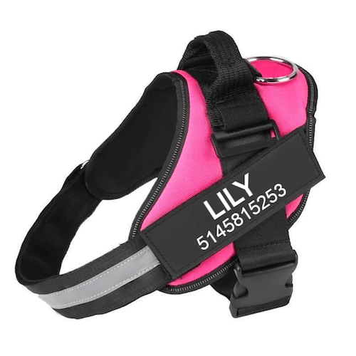 NEXTY NEST™ - CUSTOM FIT NO-PULL DOG HARNESS