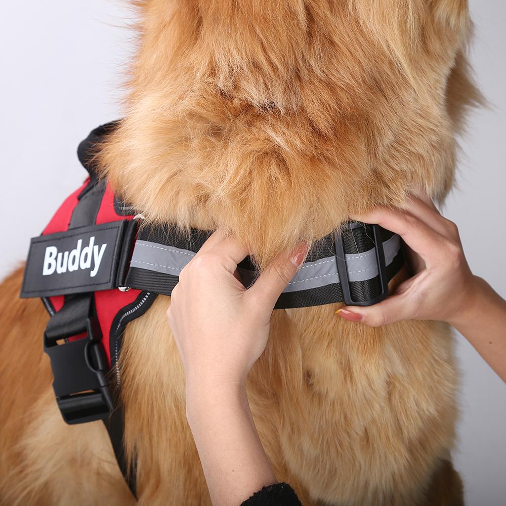 NEXTY NEST™   - CUSTOM FIT NO-PULL DOG HARNESS