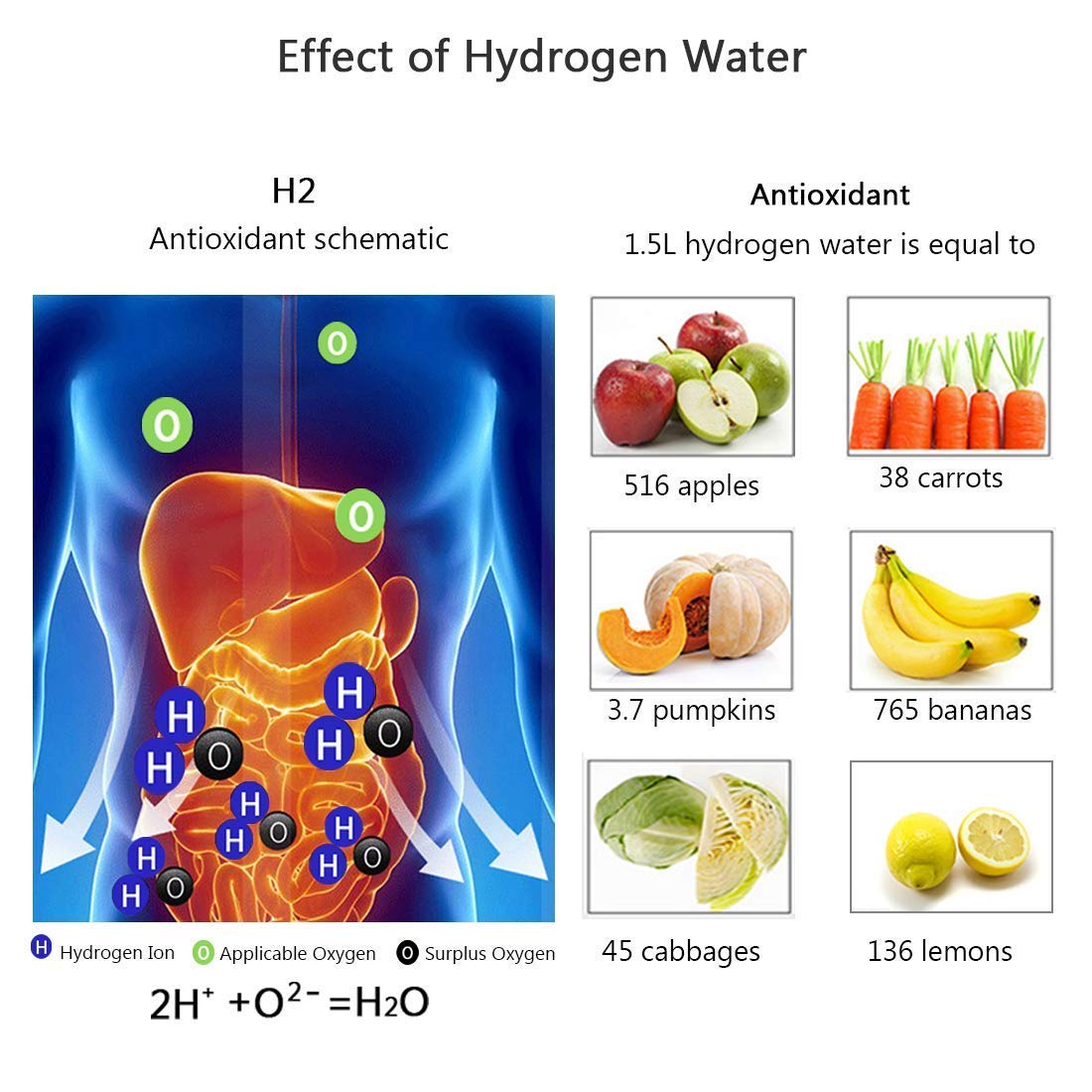NEXTY NEST™   - HYDROGEN WATER BOTTLE